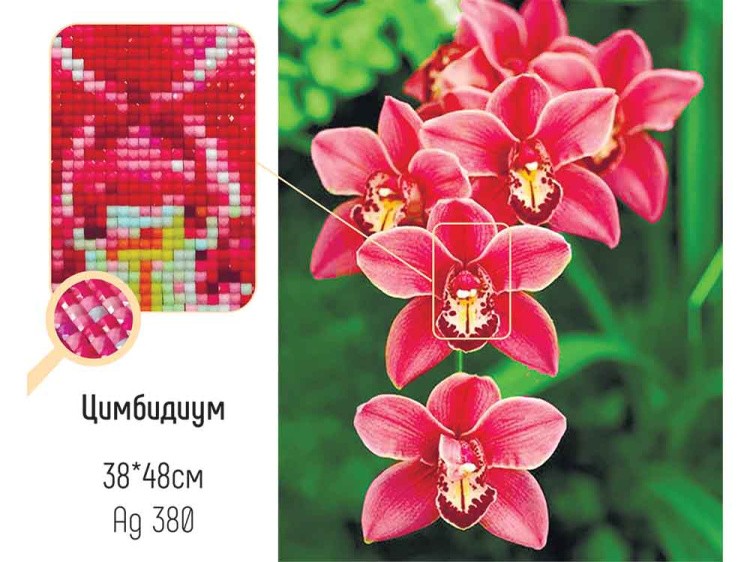 Алмазная вышивка «Цимбидиум» — картинка 2
