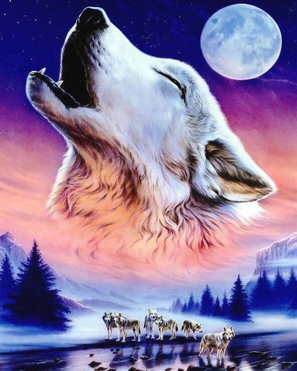 Картина по номерам «Воющий волк»