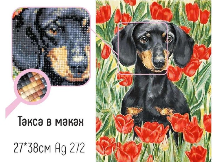 Алмазная вышивка «Такса в маках» — картинка 2