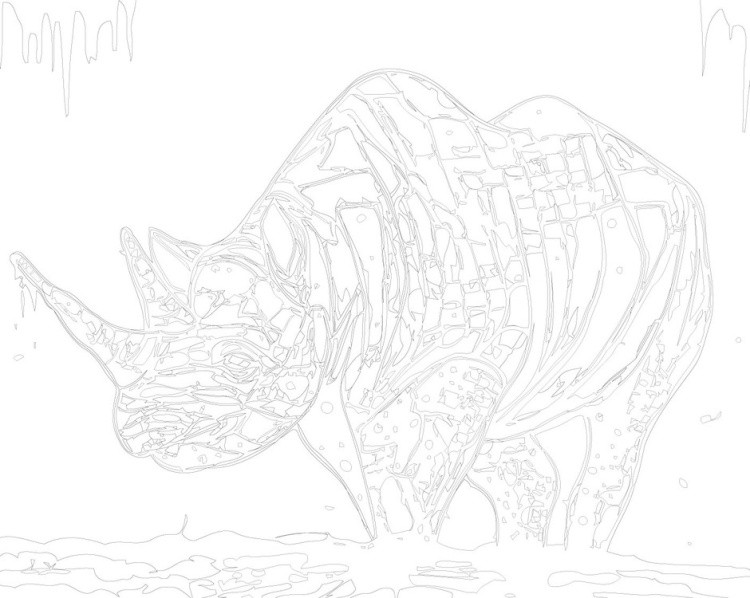 Картина по номерам «Арт-носорог» — картинка 3