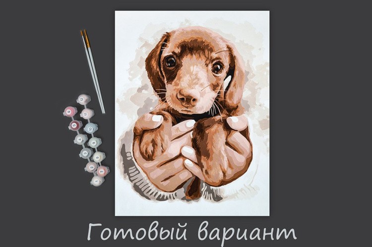 Картина по номерам «Лучший друг» — картинка 2