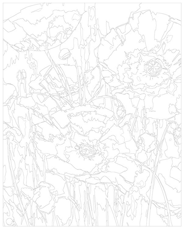 Картина по номерам «Цветы: Изящные маки» — картинка 3