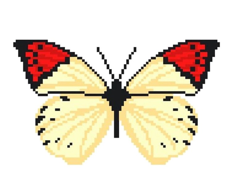 Набор для вышивания «Бабочка», NITEX