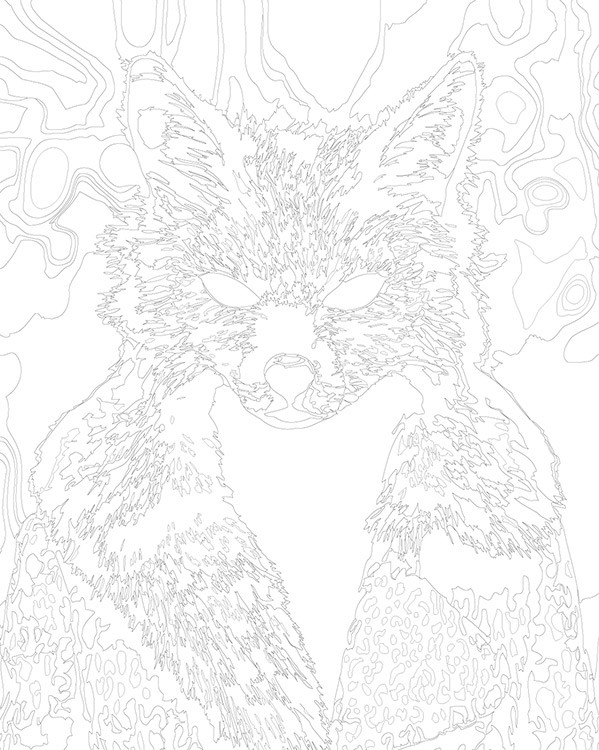 Картина по номерам «Портрет в маске лисы, монохром 40x50» — картинка 3