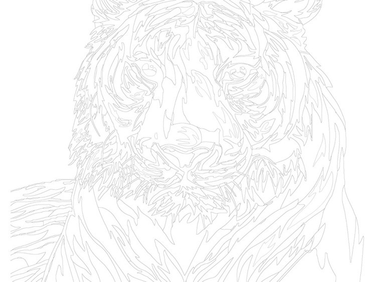 Картина по номерам «Радужный тигр» — картинка 3