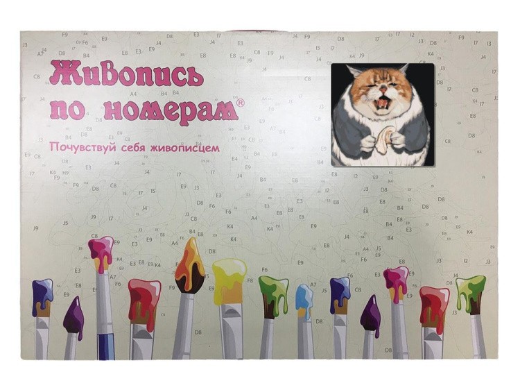 Картина по номерам «Печальный толстый котик» — картинка 5
