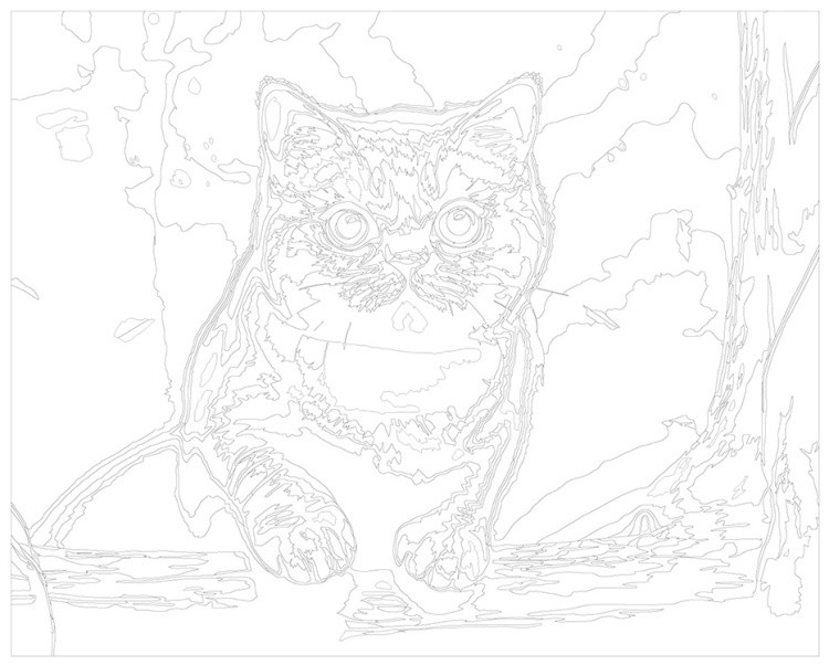 Картина по номерам «Британский кот в темном лесу» — картинка 3