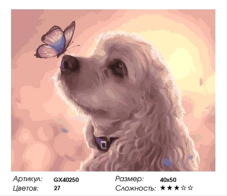 Картина по номерам «Собачка и бабочка» — картинка 2