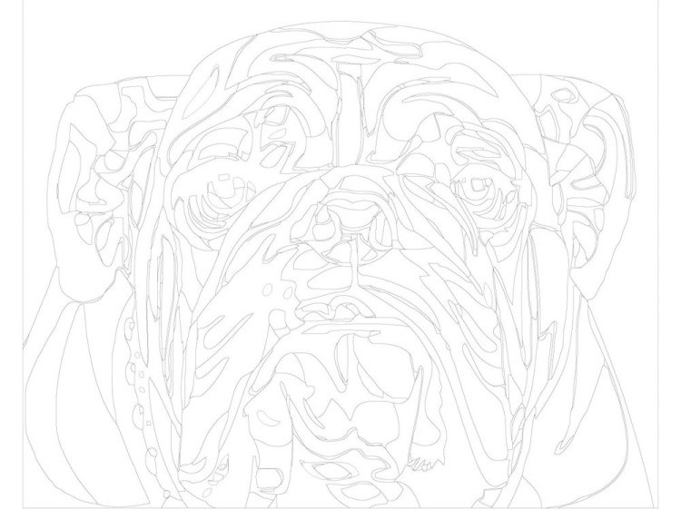 Картина по номерам «Английский бульдог» — картинка 3