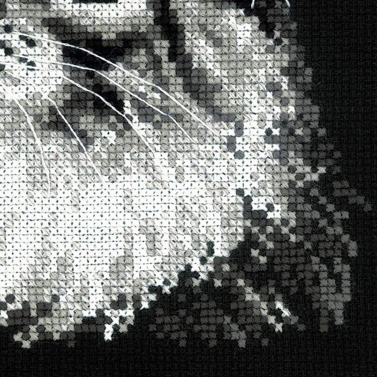 Набор для вышивания «Мейн-кун» — картинка 5