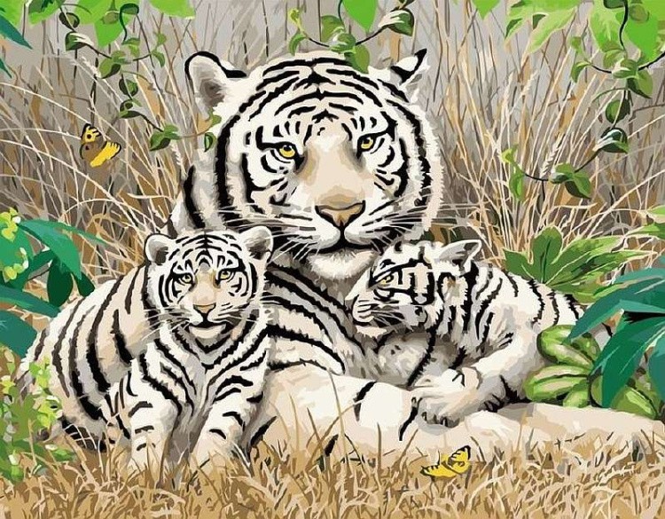 Картина по номерам «Семья тигров»