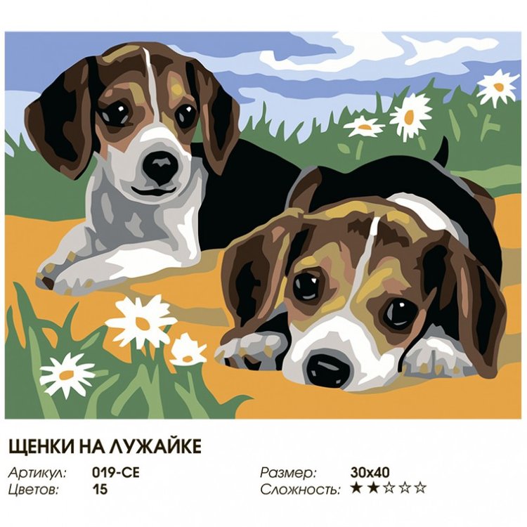 Картина по номерам «Щенки на лужайке» — картинка 2