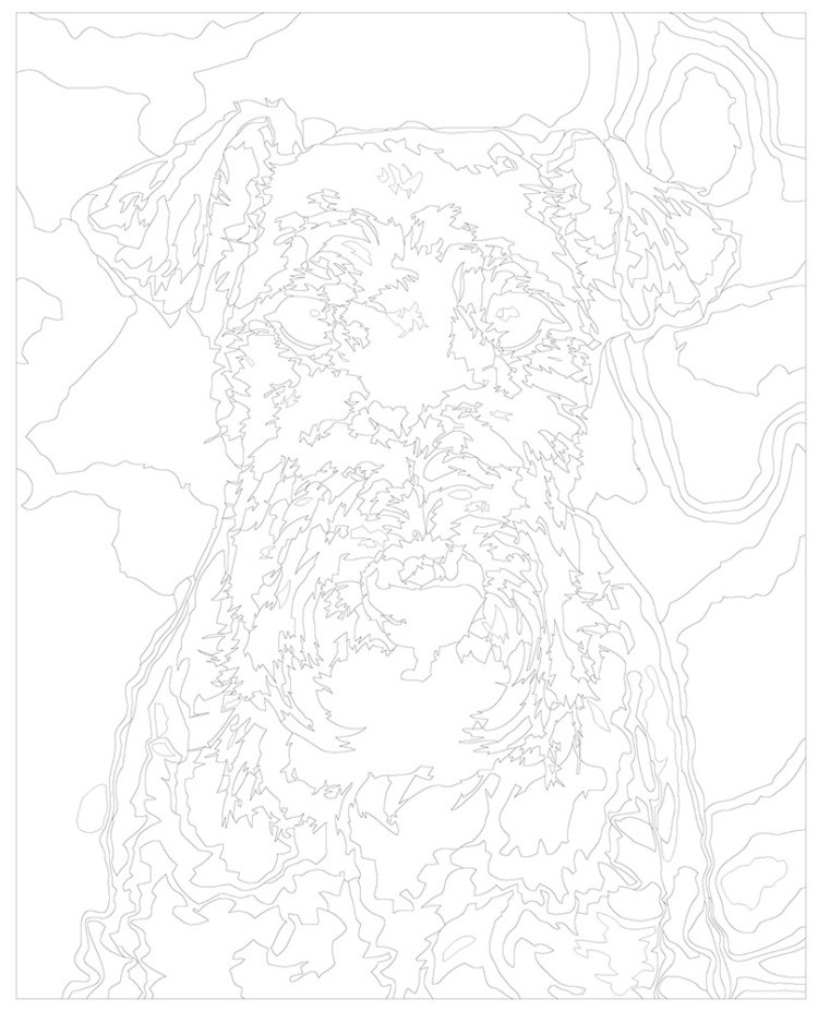 Картина по номерам Собака вельштерьер портрет — картинка 3