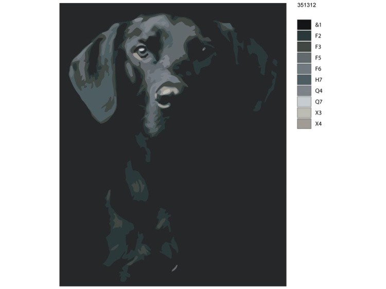 Картина по номерам «Чёрно-белый пёс» — картинка 2