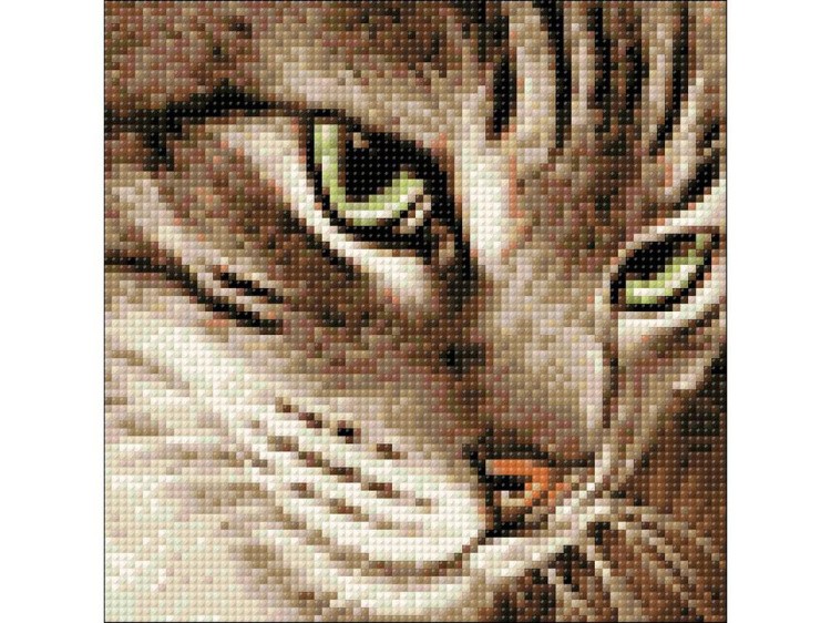 Алмазная вышивка «Загадочный кот» — картинка 2