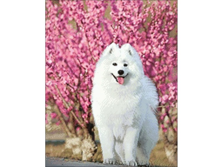 Алмазная вышивка «Лайка» — картинка 2