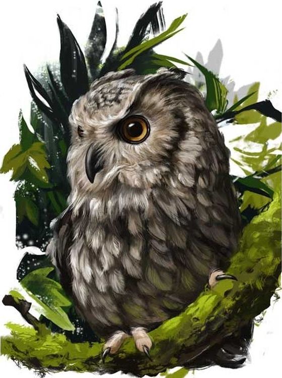 Картина по номерам «Серьезная сова» — картинка 2