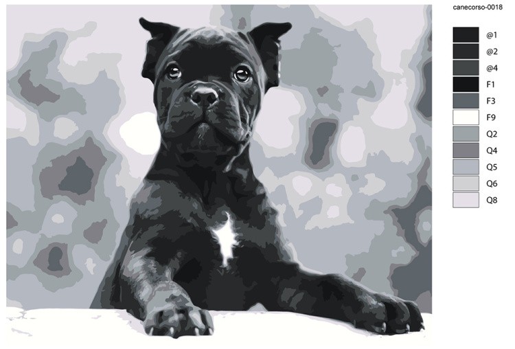 Картина по номерам «Собака Кане корсо ценок, чернобелая 40x50» — картинка 2