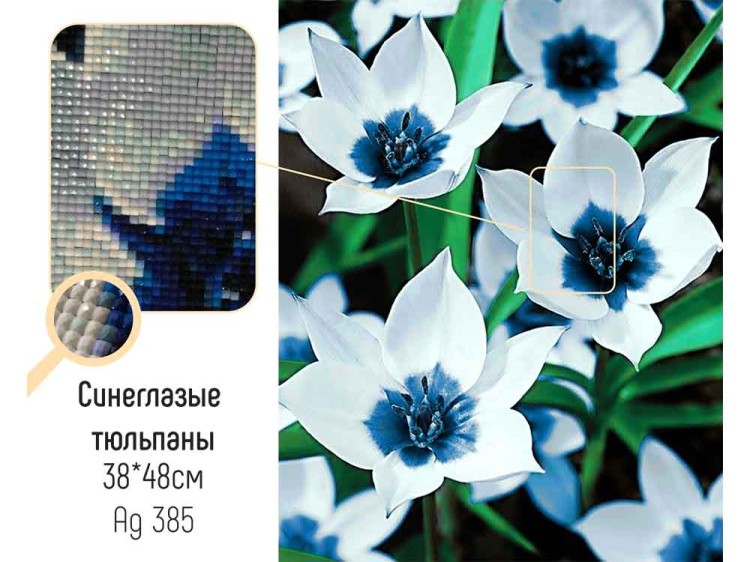 Алмазная вышивка «Синеглазые тюльпаны» — картинка 2