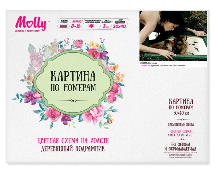 Картина по номерам «Волчица» — картинка 3