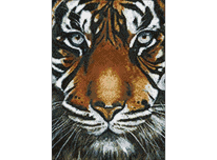 Алмазная вышивка «Взгляд тигра» — картинка 2