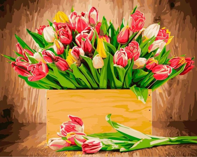 Картина по номерам «Тюльпаны»