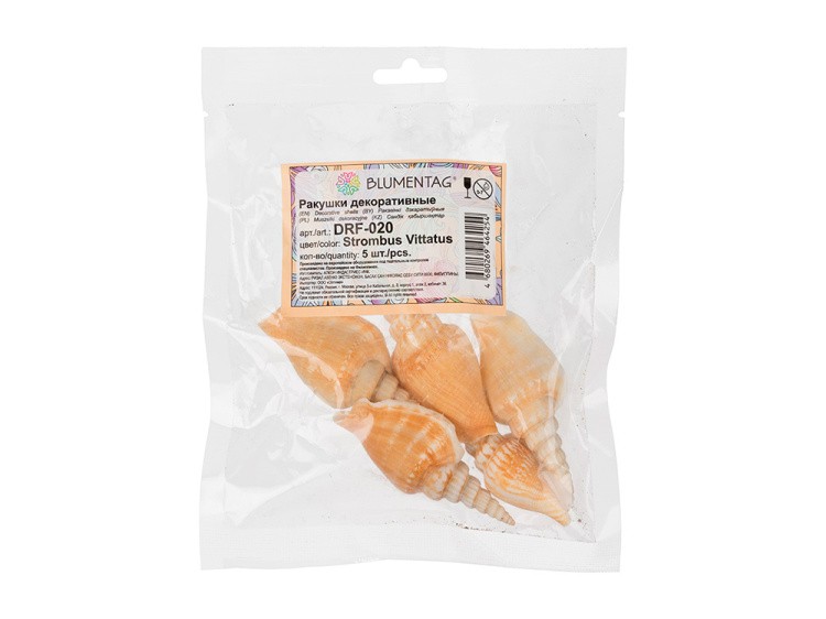 Ракушки декор Strombus Vittatus, DRF-020, 1.25-2 дюйма, 5 шт., Zlatka/Blumentag — картинка 2