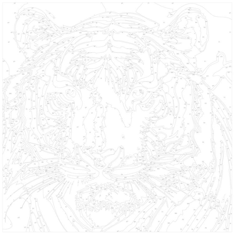 Картина по номерам «Портрет тигра» — картинка 3