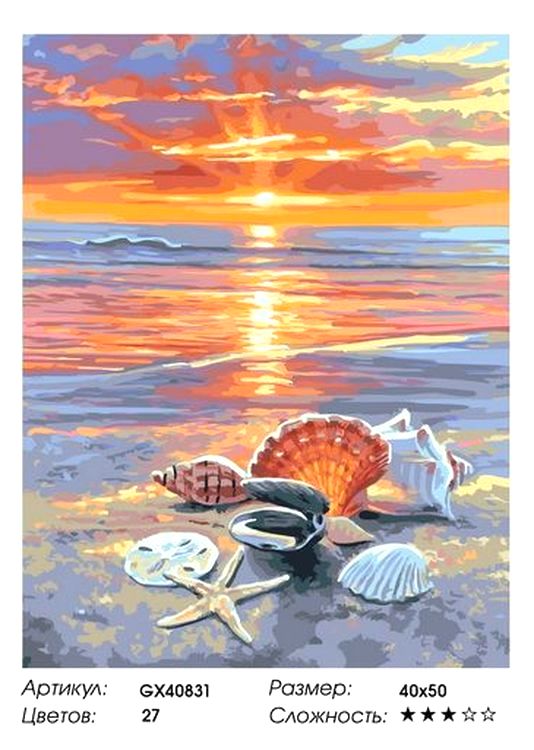 Картина по номерам «Ракушки на берегу» — картинка 2