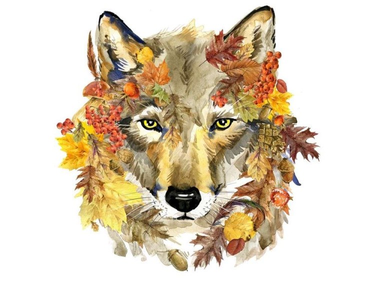 Набор вышивки бисером «Осенний волк»