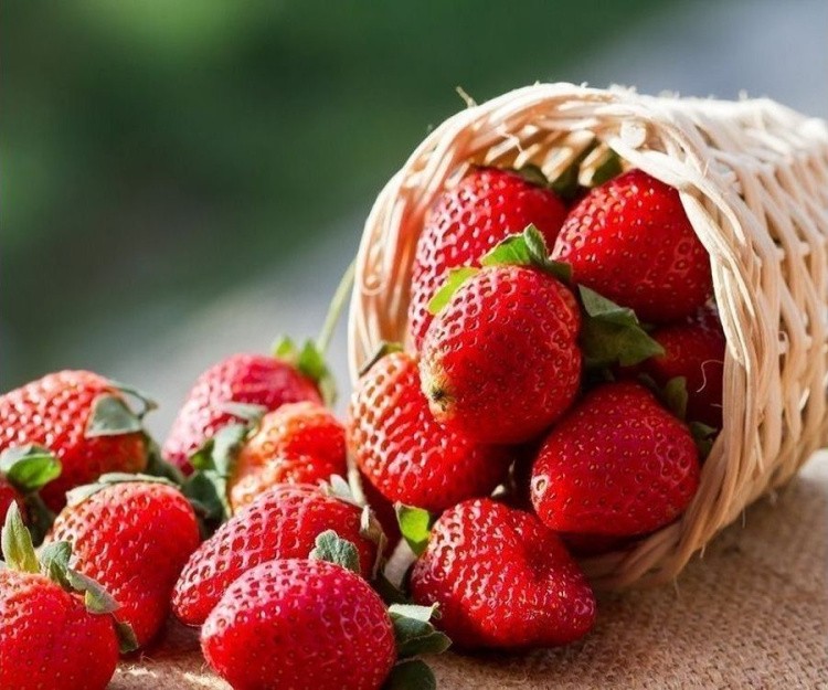 Картина по номерам «Корзинка клубники» — картинка 2