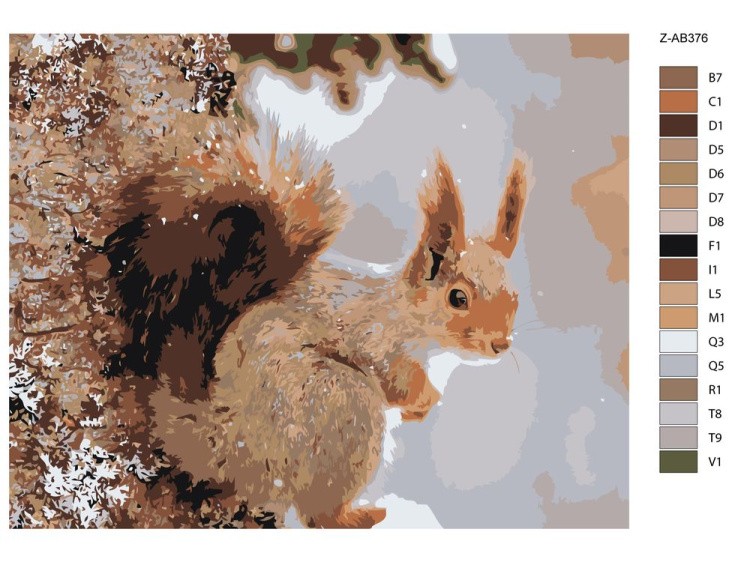 Картина по номерам «Белка» — картинка 2