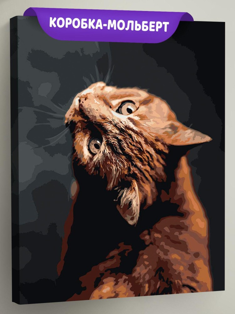 Картина по номерам «Кот»