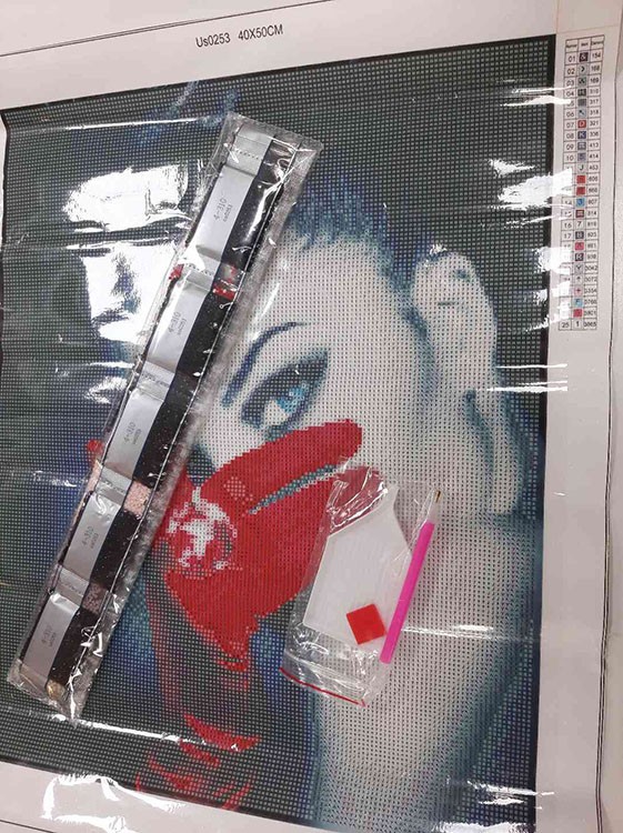 УЦЕНКА. Алмазная вышивка «Девушка загадка» (порвана упаковка) — картинка 2