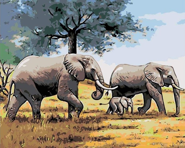 Картина по номерам «Семья слонов»