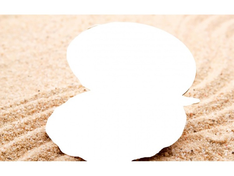 Алмазная вышивка «Жемчужина» — картинка 2