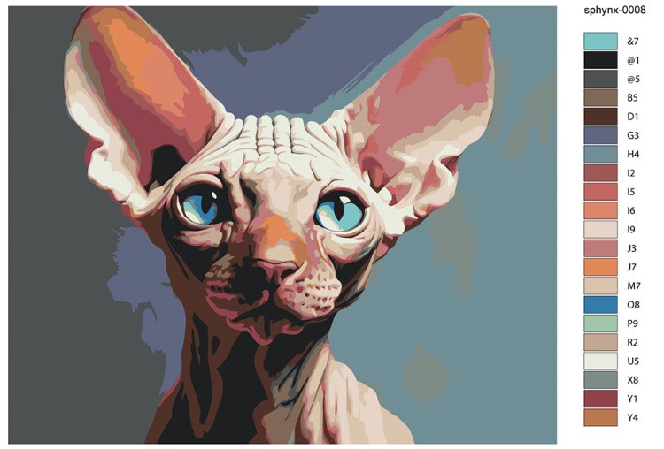 Картина по номерам «Котенок сфинкс с большими ушами» — картинка 2