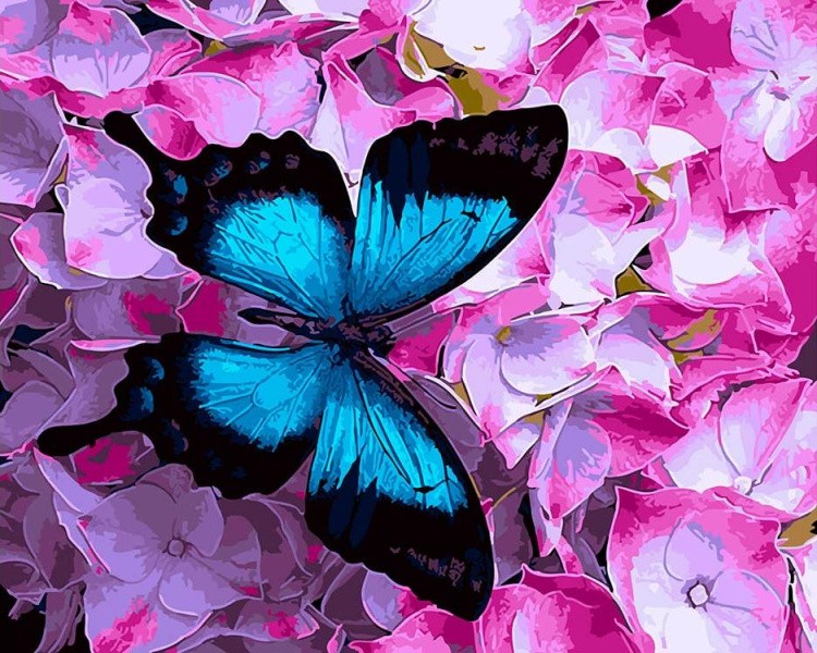 Картина по номерам «Синяя бабочка»