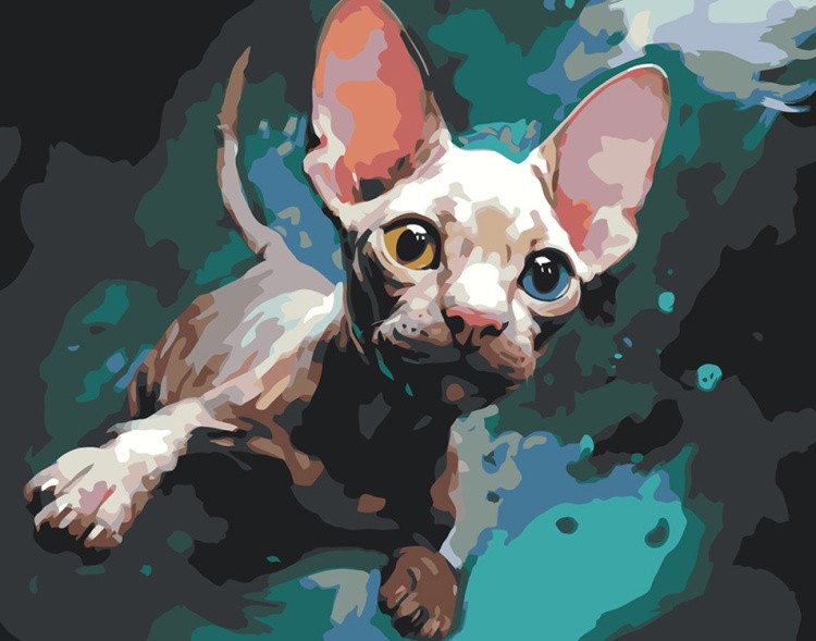Картина по номерам «Котенок сфинкс»