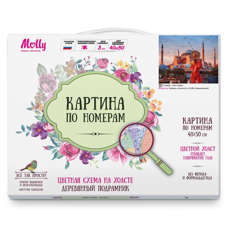 Картина по номерам «Стамбул Айя-София» — картинка 2