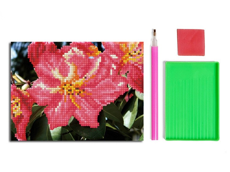 Алмазная вышивка «Рододендрон» — картинка 2