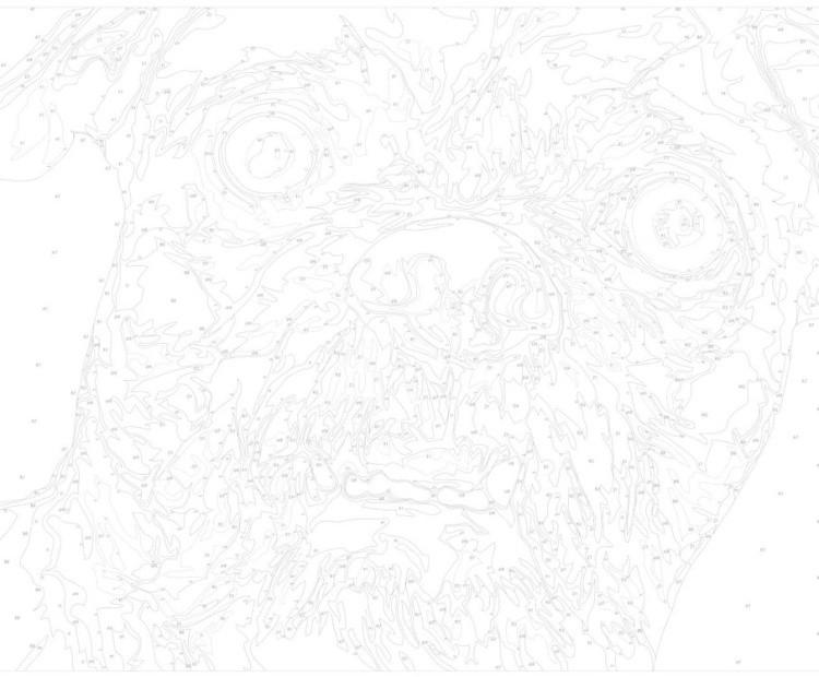 Картина по номерам «Смешная собака» — картинка 3