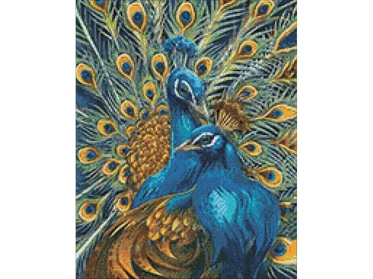 Алмазная вышивка «Яркая пара» — картинка 3