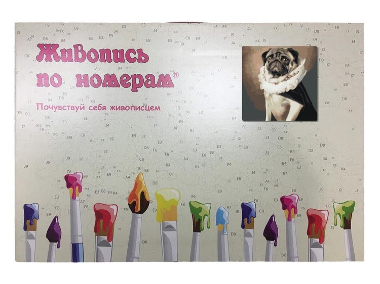 Картина по номерам «Мопс-аристократ» — картинка 5