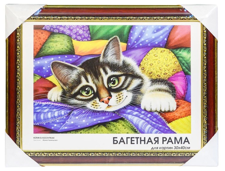 Рамка для картин «Аcademic» — картинка 6