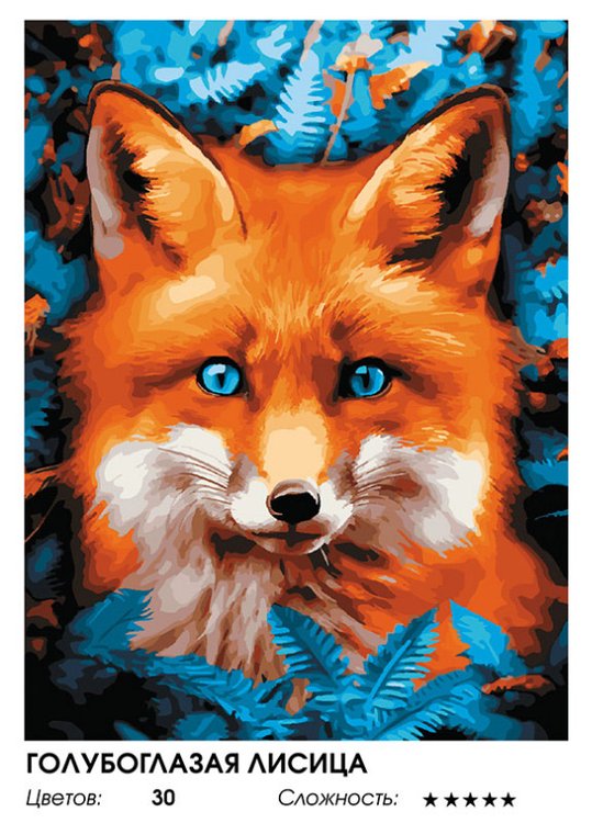 Картина по номерам «Голубоглазая лисица» — картинка 2