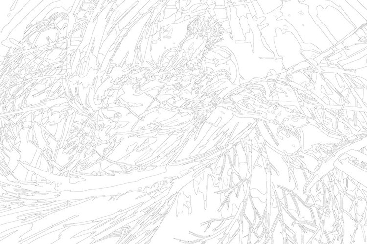 Картина по номерам «Dark Souls Дарк Соулс: Понтифик Саливан» — картинка 3