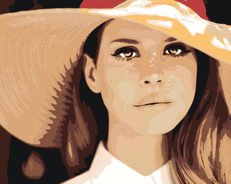 Картина по номерам «Lana Del Rey Лана Дель Рей: В шляпе 2»