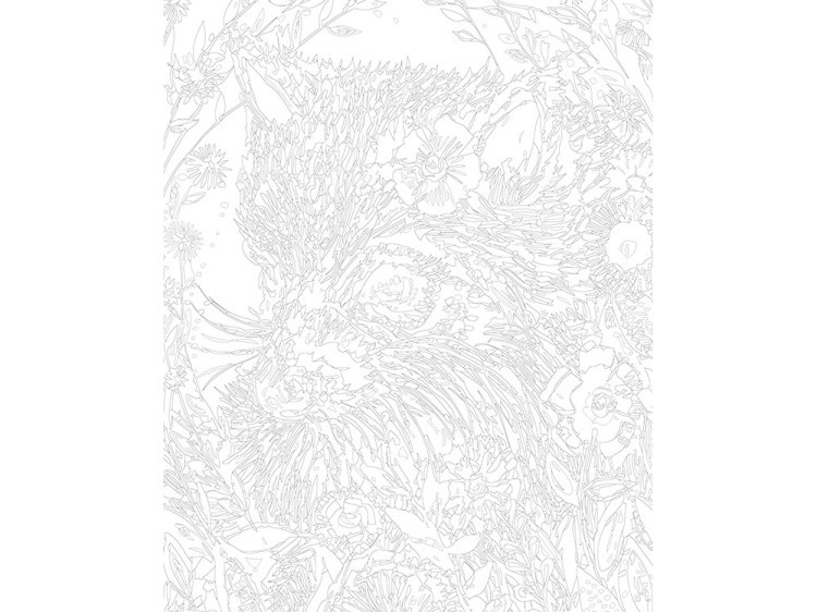 Картина по номерам «Енот» — картинка 3