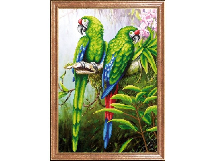 Рисунок на ткани «Пара попугаев»